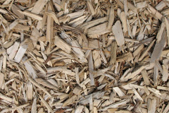 biomass boilers Tewin Wood